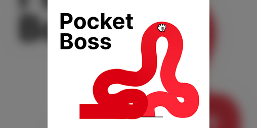 Cover image for Pocket Boss
