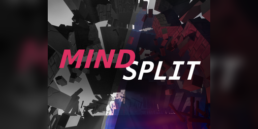 Cover image for Mindsplit