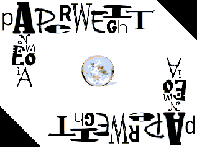 Paperweight Anemoia