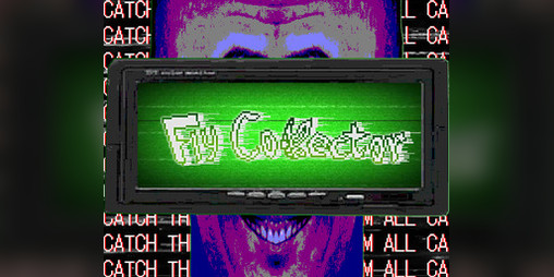 Cover image for Fly Collector