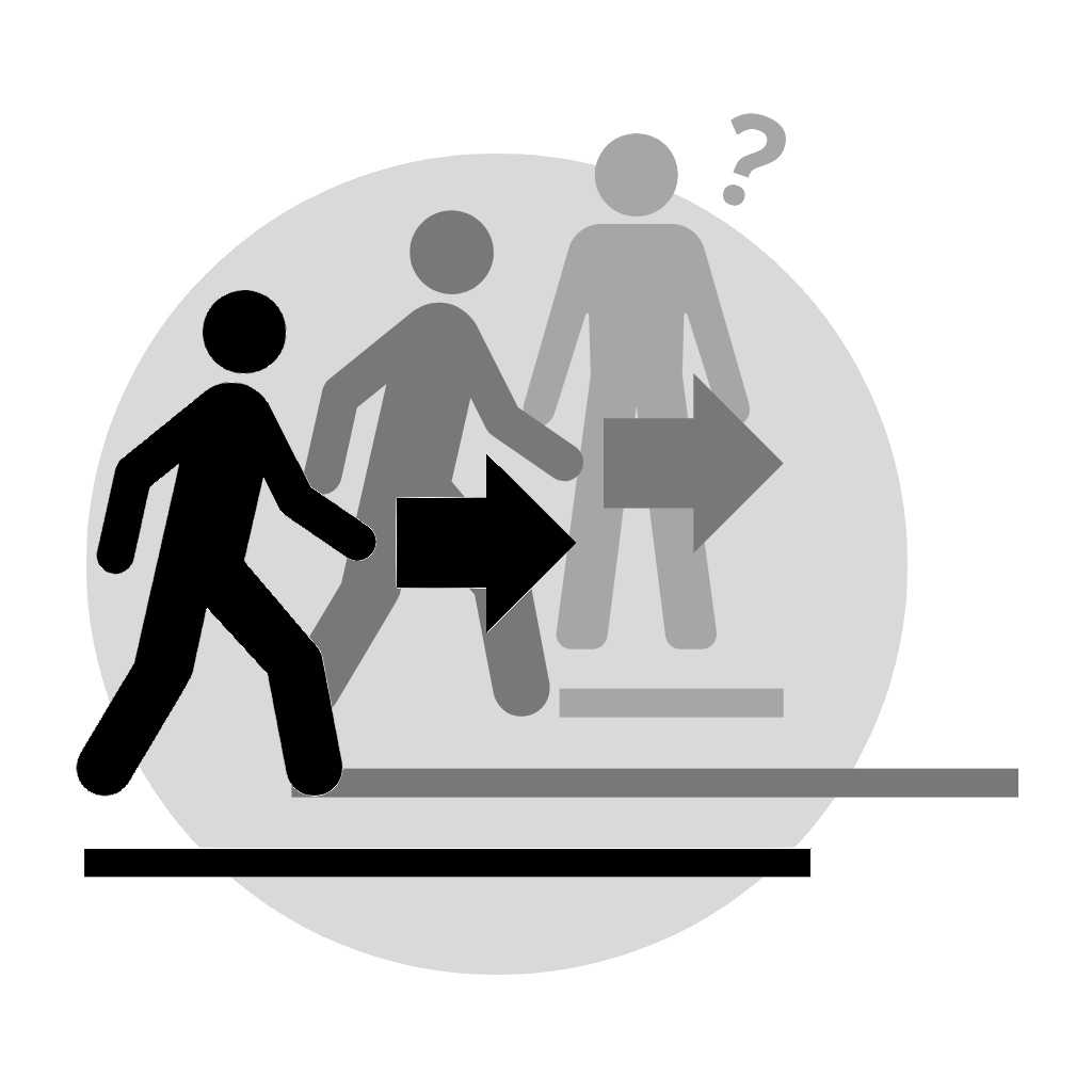 Cover image for Duplicata