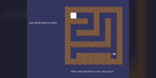 Cover image for Only One Maze