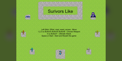 Cover image for Survivor Like