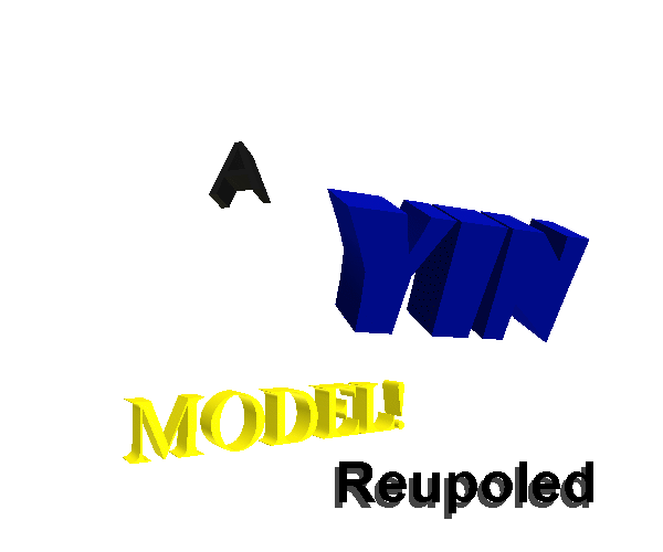 A yin model