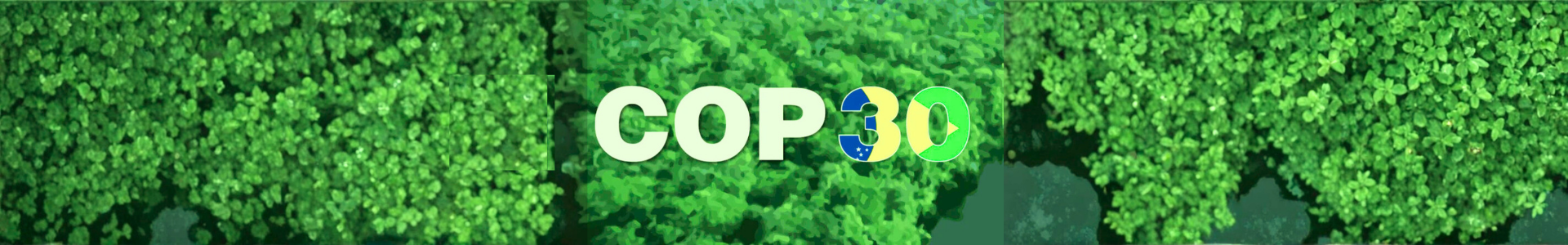 Feira 2025 - COP30