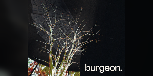 Cover image for burgeon.