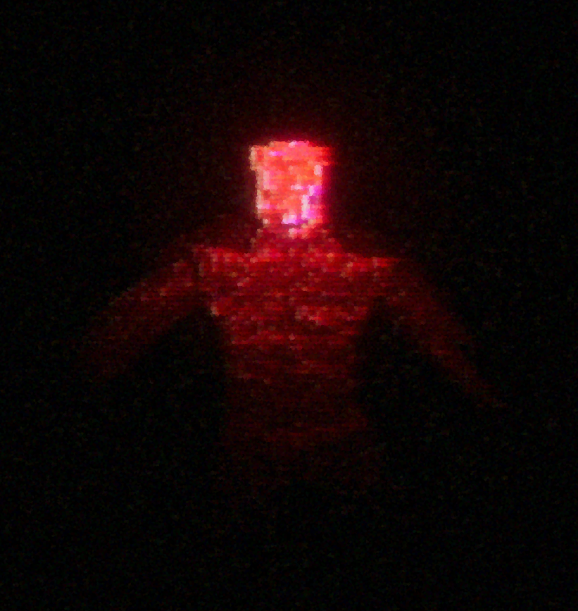 Cover image for LABYRINTH LURKER