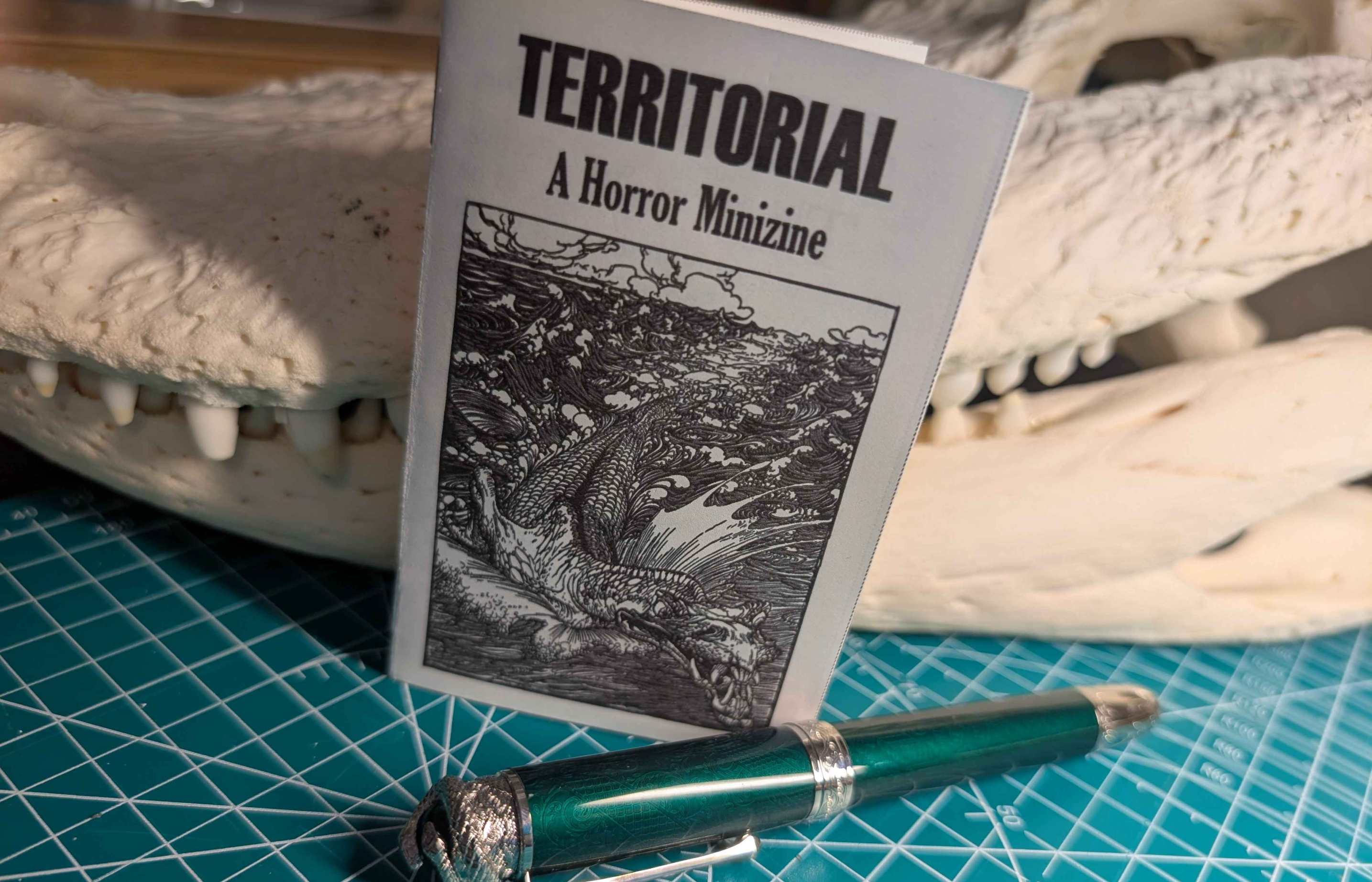 Cover image for TERRITORIAL
