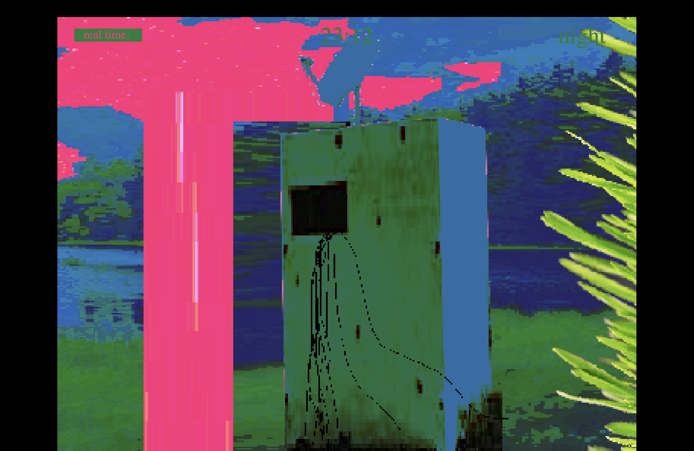 Cover image for Birds and bunkers