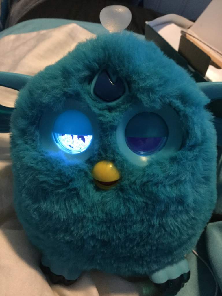 Furby connect glitch app