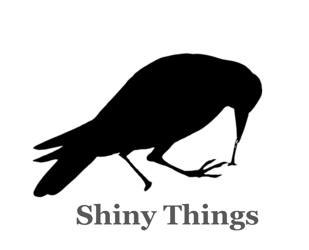 Cover image for Shiny Things