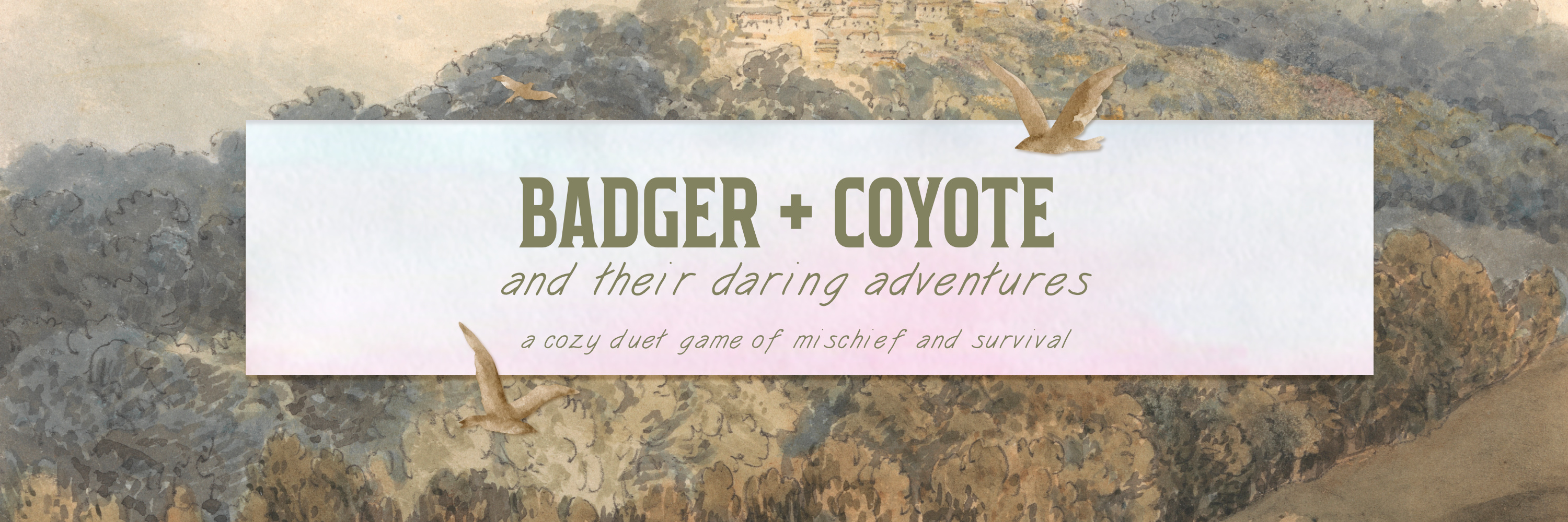 Badger + Coyote