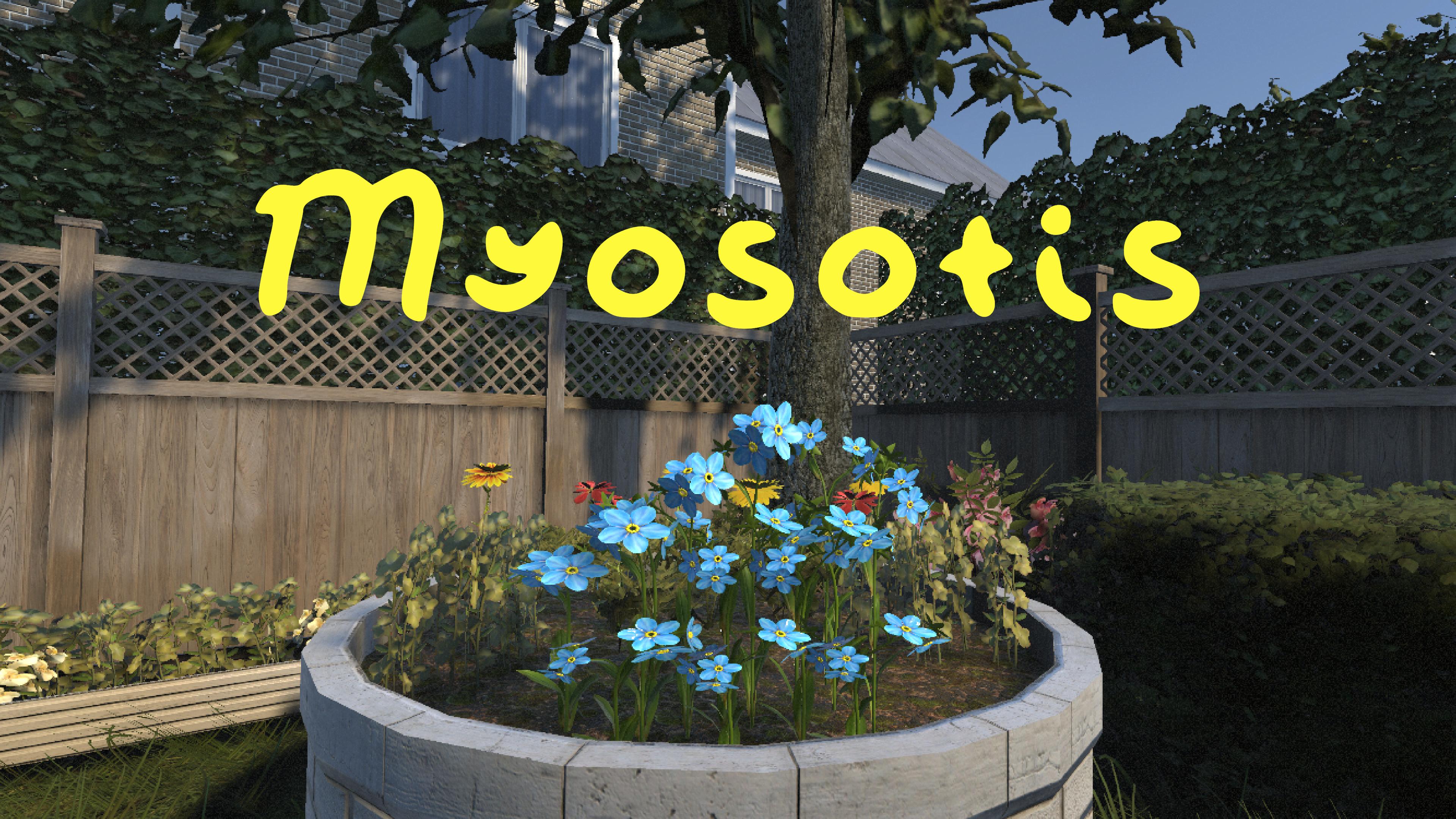 Myosotis Demo