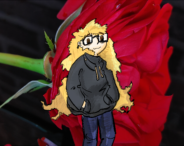 Cover image for What Seasons Reveal