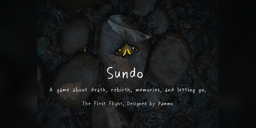 Cover image for Sundo: The First Flight