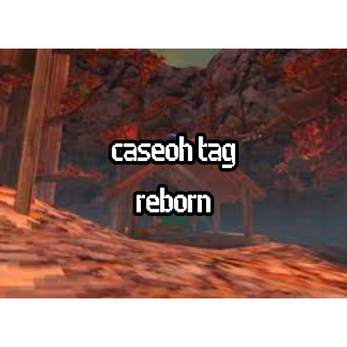 CaseOh Tag REBORN by visid
