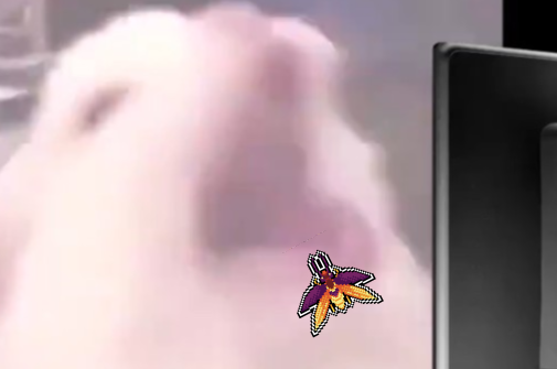 Cockroach Flyer