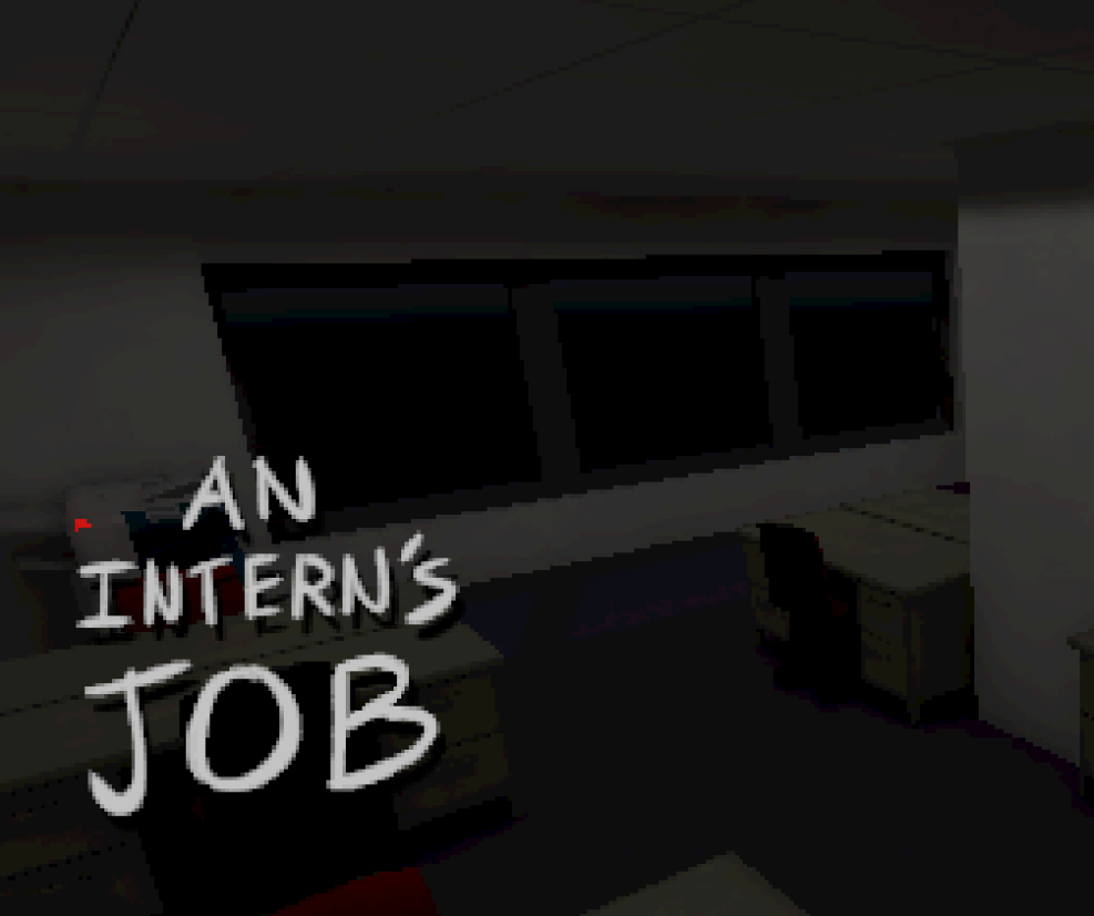 Cover image for An Intern's Job