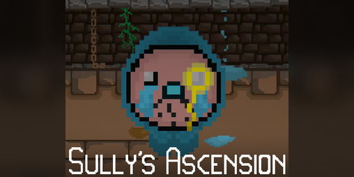 Cover image for Sully's Ascension