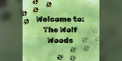 Cover image for Welcome to: The Wolf Woods