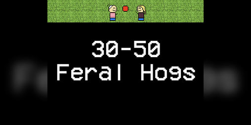 Cover image for 30-50 Feral Hogs