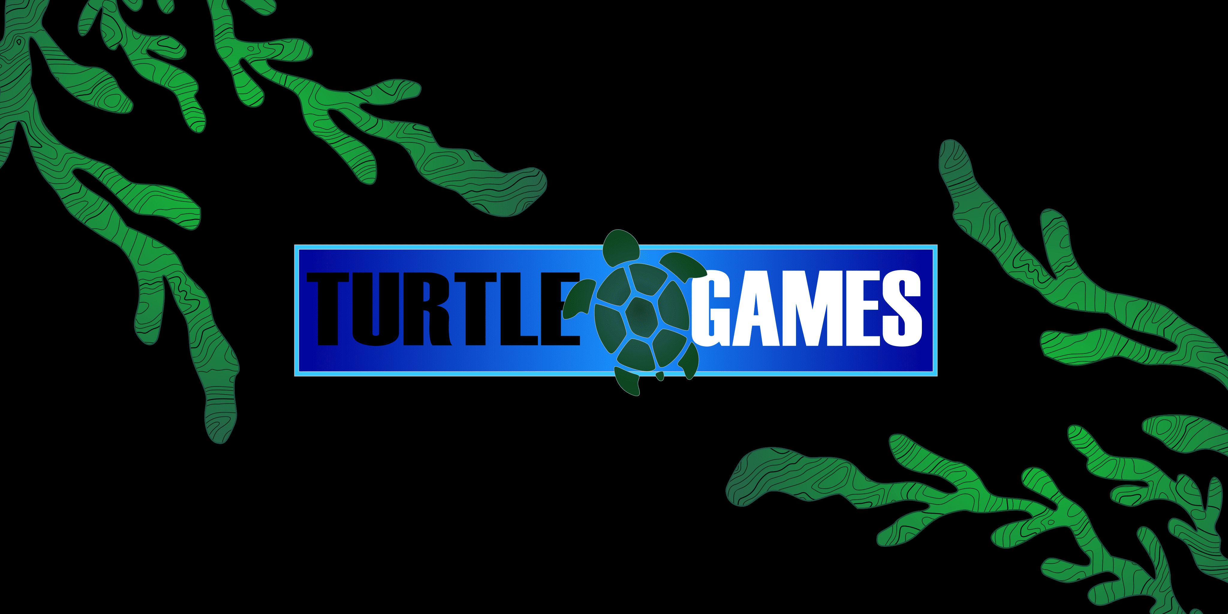 Desarrollador de Turtle Games