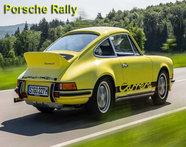Porsche Rally