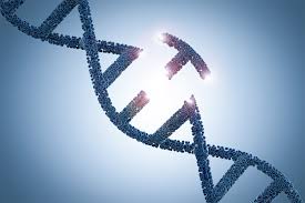 Cover image for MuTaTIoN