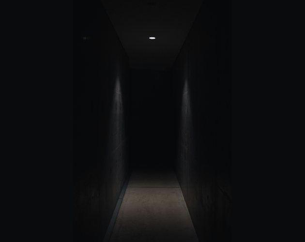Cover image for a walk in the hallways