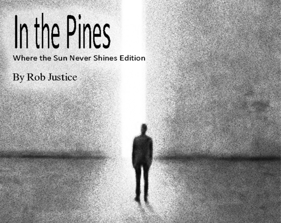 Cover image for In the Pines