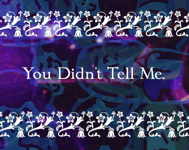 Cover image for You Didn't Tell Me