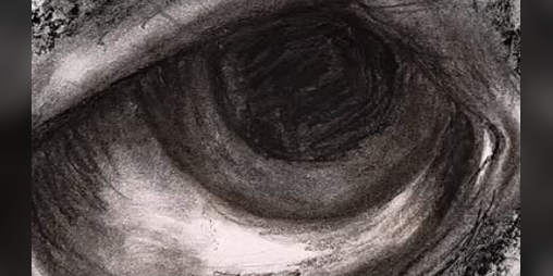 Cover image for SICK