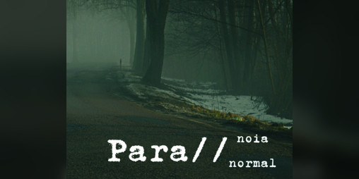 Cover image for Para//noia/normal