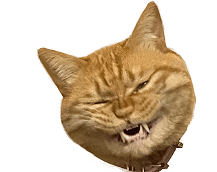 Meowworld
