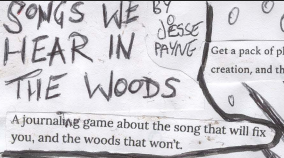 Cover image for Songs We Hear In The Woods