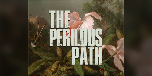 Cover image for The Perilous Path