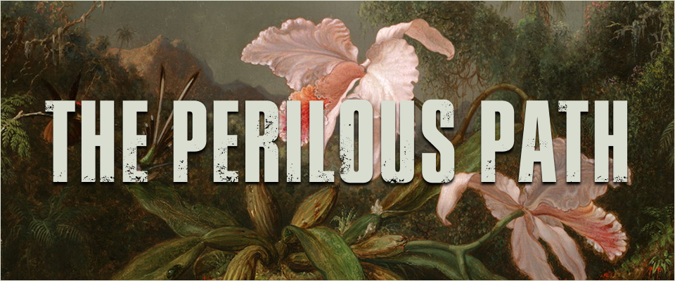 The Perilous Path