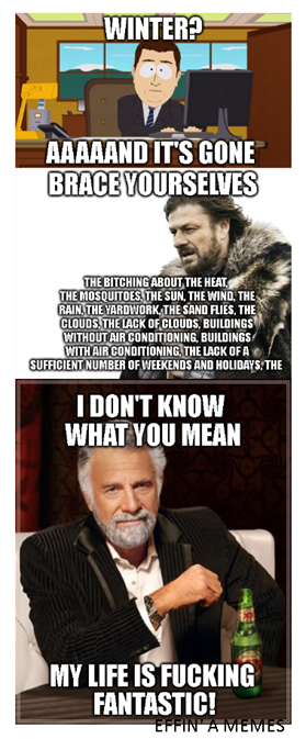 Memetastically Effin' A Memes Like!