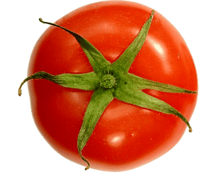 Nature TOmato