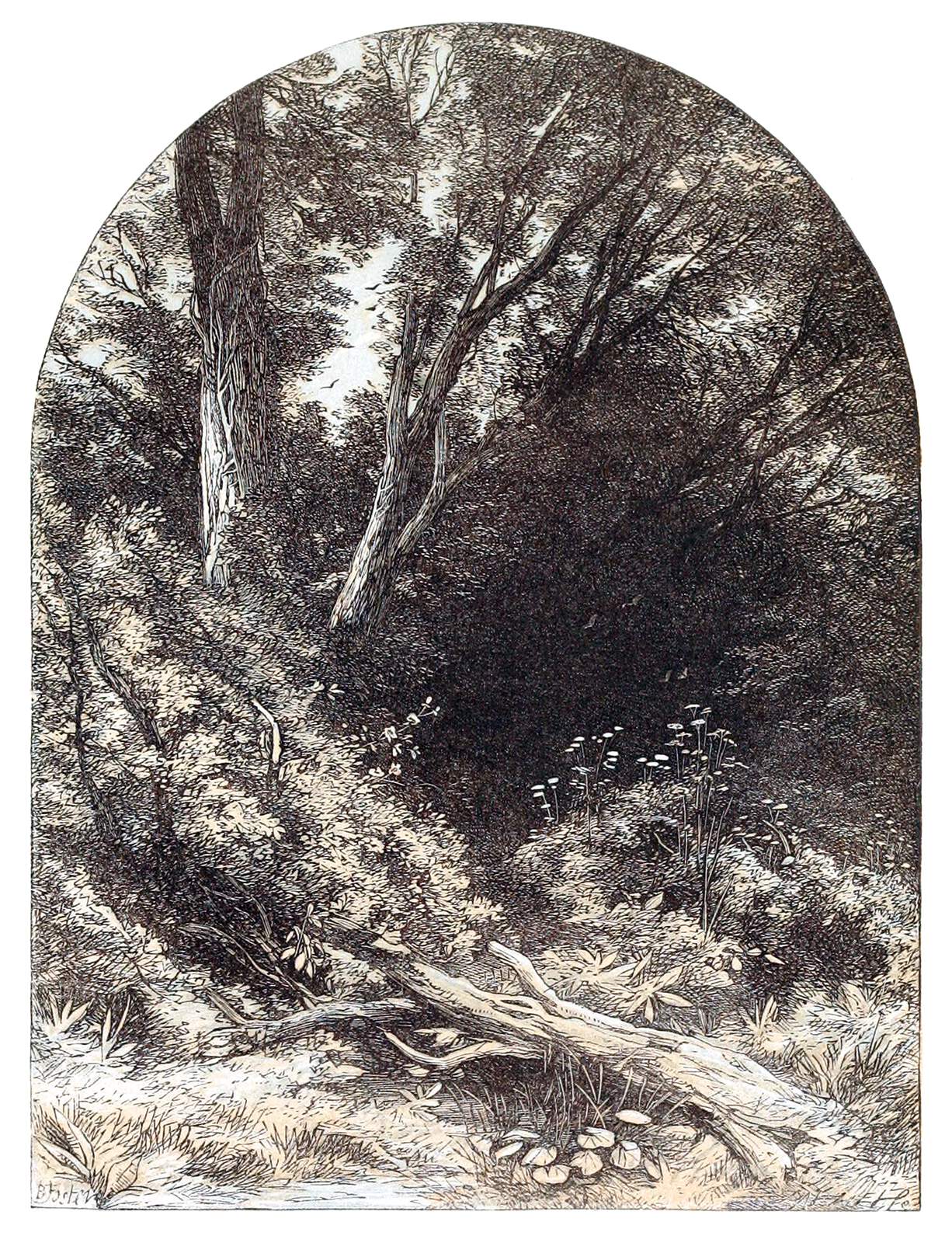 Cover image for Into the Wild Wood