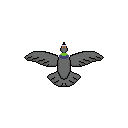 Bird shooter
