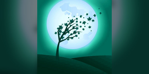 Cover image for Mooncrash!