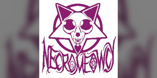 Cover image for Necromeowcy