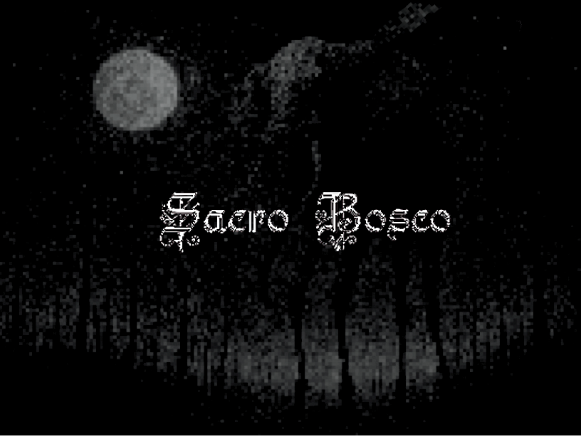 Cover image for SACRO BOSCO