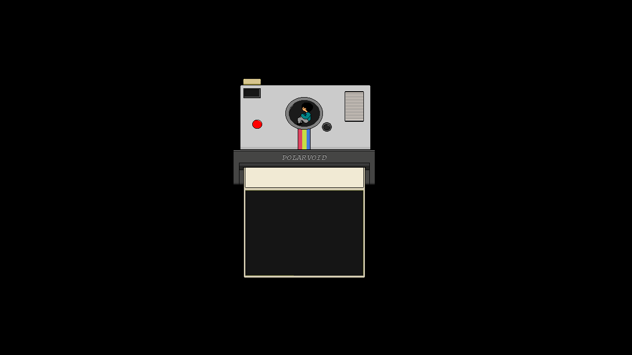 Cover image for Polarvoid