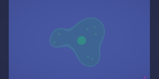 Cover image for Amoeba