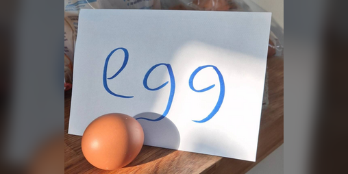Cover image for Egg