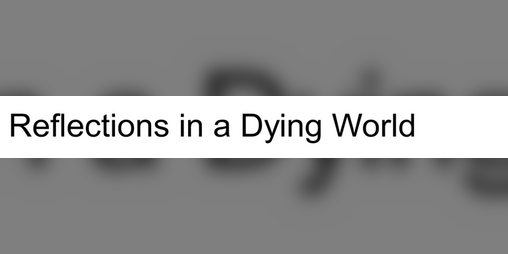 Cover image for Reflections in a Dying World