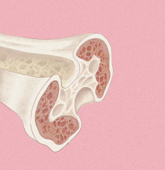 Cover image for Blood Work