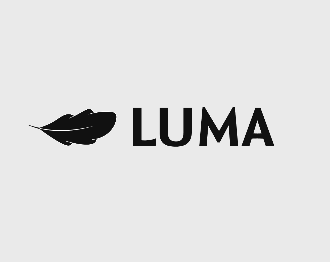Cover image for LUMA
